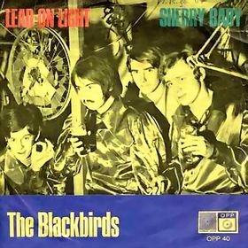 Blackbirds_Lead on Light / Sherry Baby_krautrock