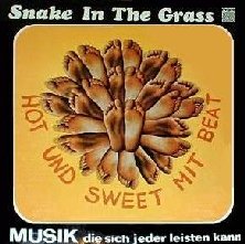 Snake In The Grass_Snake in the grass_krautrock